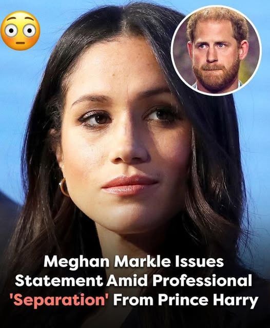 Meghan Markle Issues Statement Amid Professional Separation from Prince Harry