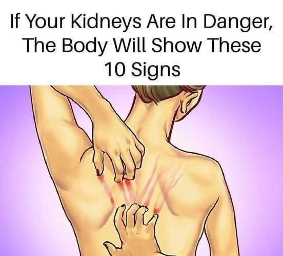 Warning Signs Your Kidneys Are in Danger – What to Watch For