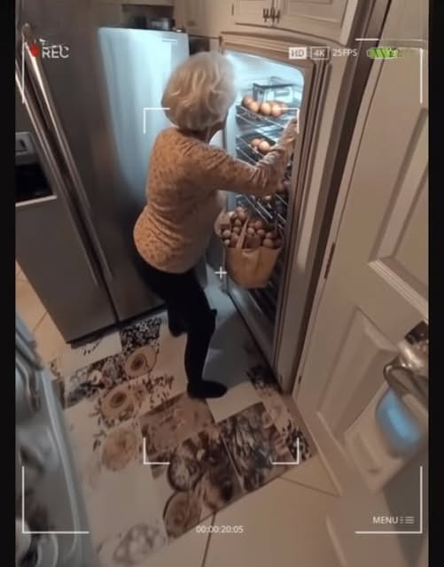 Eggs kept vanishing from my fridge