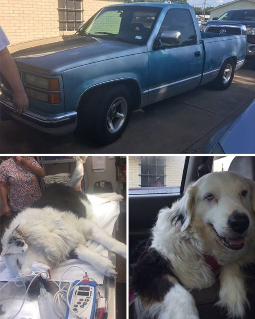 I SOLD MY TRUCK TO PAY FOR HER SURGERY—AND NOW MY JOB’S ON THE LINE