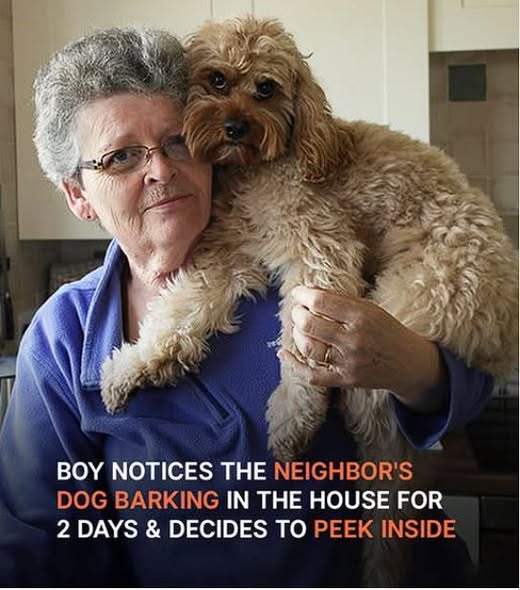 During one summer holiday, Ethan started to hear barking coming from his neighbor’s house